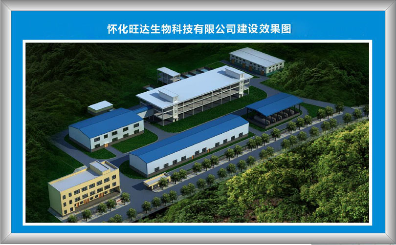 新爱体育官方网页版